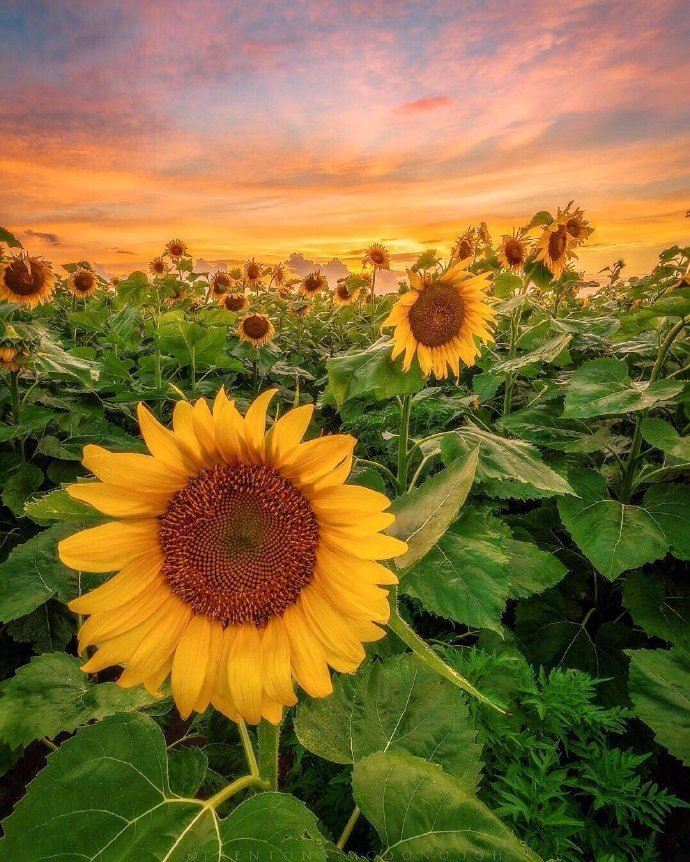 2023很有生活哲理的说说，精辟透彻，直击内心！