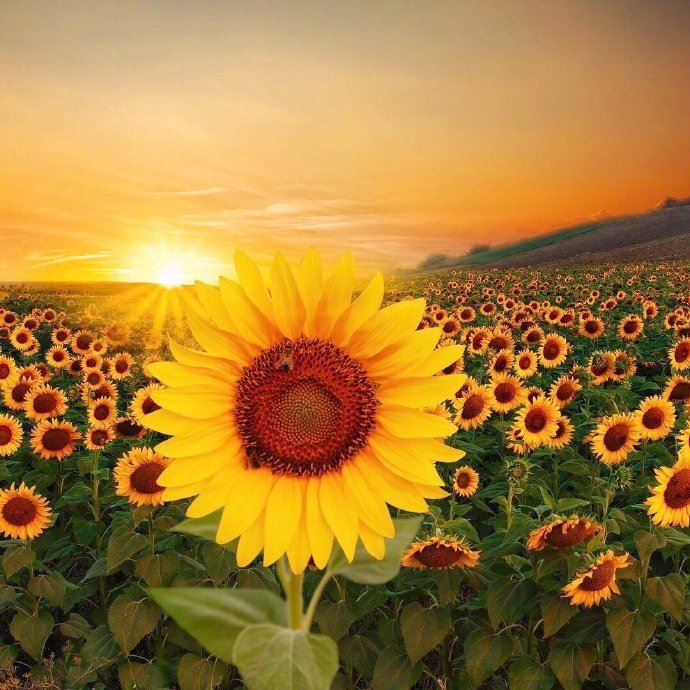 2023很有生活哲理的说说，精辟透彻，直击内心！