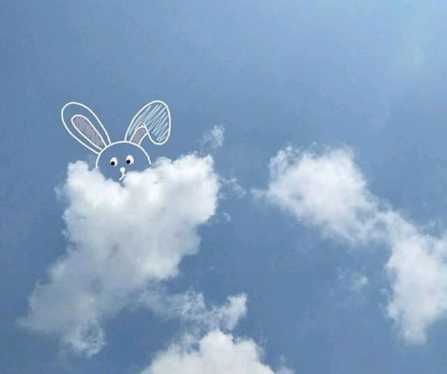 温暖人心的早安文案，元气满满，愿你心向阳光！