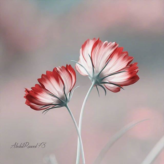 直面人生的经典哲理说说，发朋友圈引人共鸣！