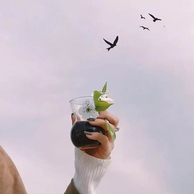 心烦心累时多看看的人生哲理说说(建议收藏)