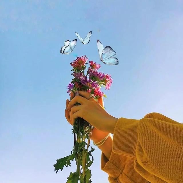 心烦心累时多看看的人生哲理说说（建议收藏）