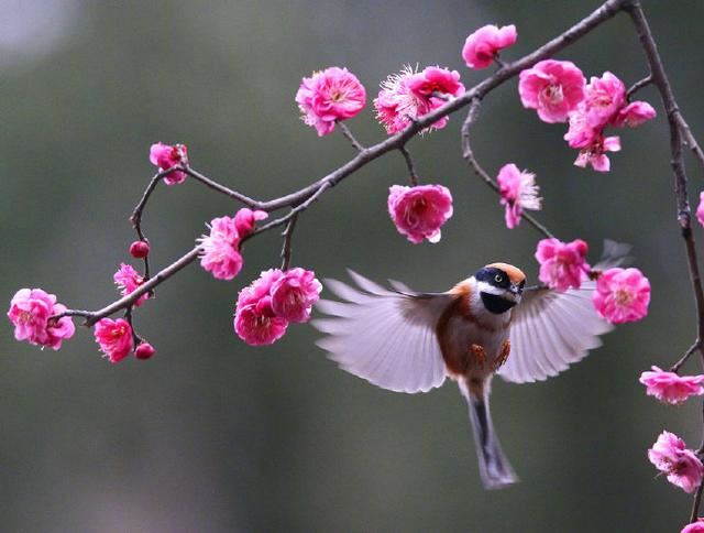 适合发日常的短句，情商超高，让你魅力非凡！
