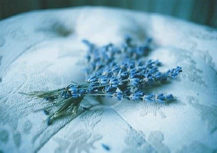 很有意义的人生哲理句子，送给不清醒的人！