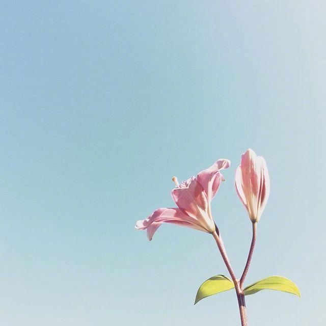 一瞬间释然的21句话，字字千金，富含哲理！