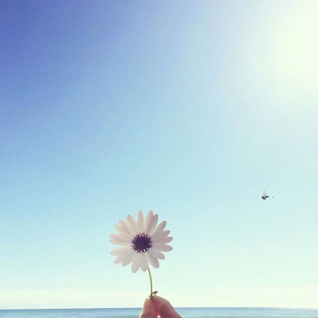 一瞬间释然的21句话,字字千金,富含哲理!