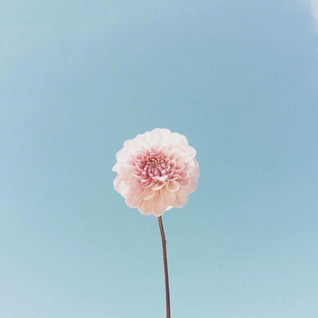 一瞬间释然的21句话,字字千金,富含哲理!