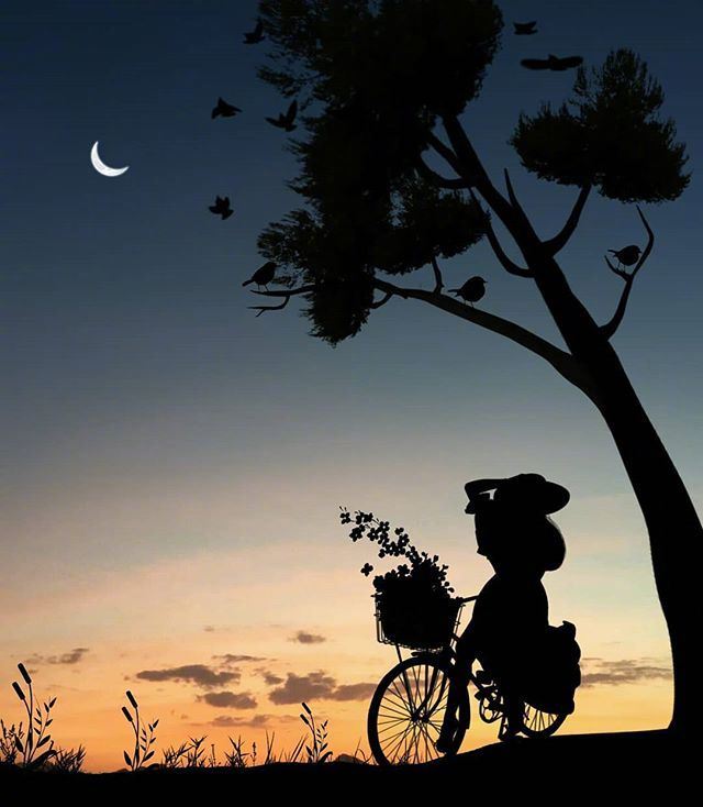 悟透受益无穷的人生感悟，送给不清醒的人！