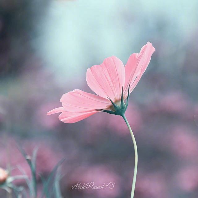 调整心态的哲理说说，一字千金，醍醐灌顶！