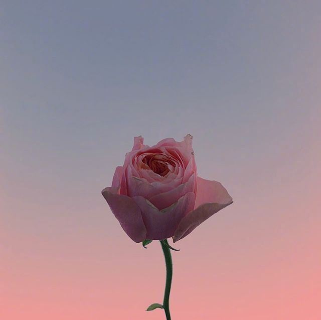 人品与做人的语录，精辟现实，让你看透人心！