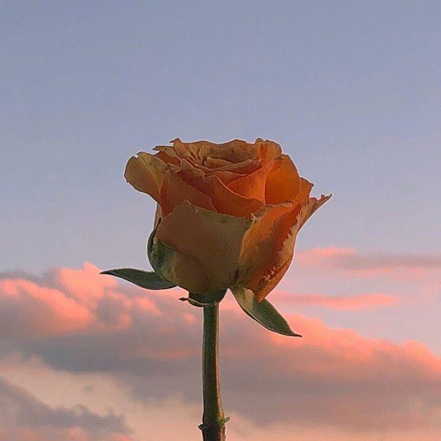 人品与做人的语录，精辟现实，让你看透人心！