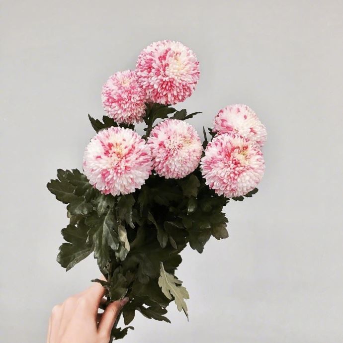 教师节给老师的祝福语，经典暖心，节日快乐！