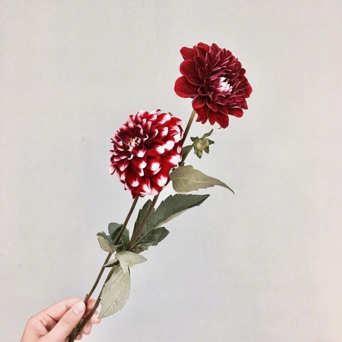 教师节给老师的祝福语，经典暖心，节日快乐！