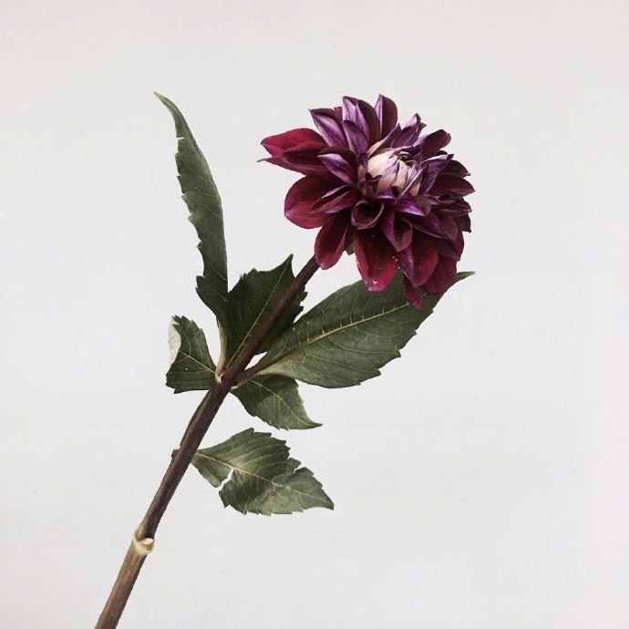 教师节给老师的祝福语，经典暖心，节日快乐！