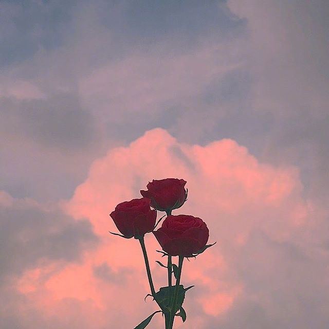 精美暖心的早安一句话，适合发朋友圈！