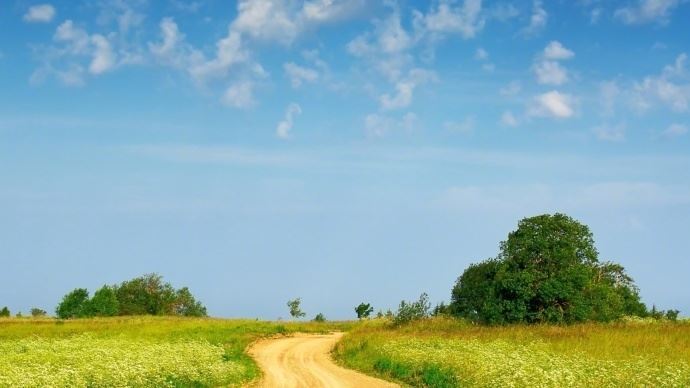 送给不清醒的人的心灵鸡汤，选一句送给自己！