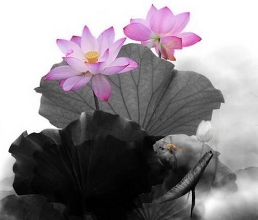 颜值超高的心情文案，随性洒脱，越看越爱！