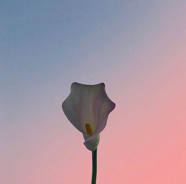 清晨暖心一句话，经典入心，忍不住收藏！