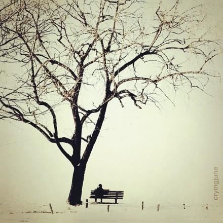 有关于生活的经典语录，发朋友圈引人深思！