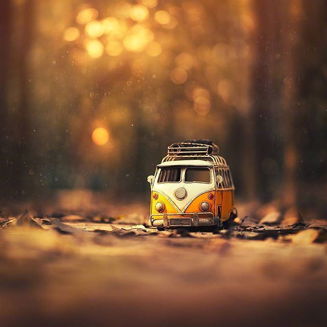 八月感悟人生的一句话，内容引起极度舒适！