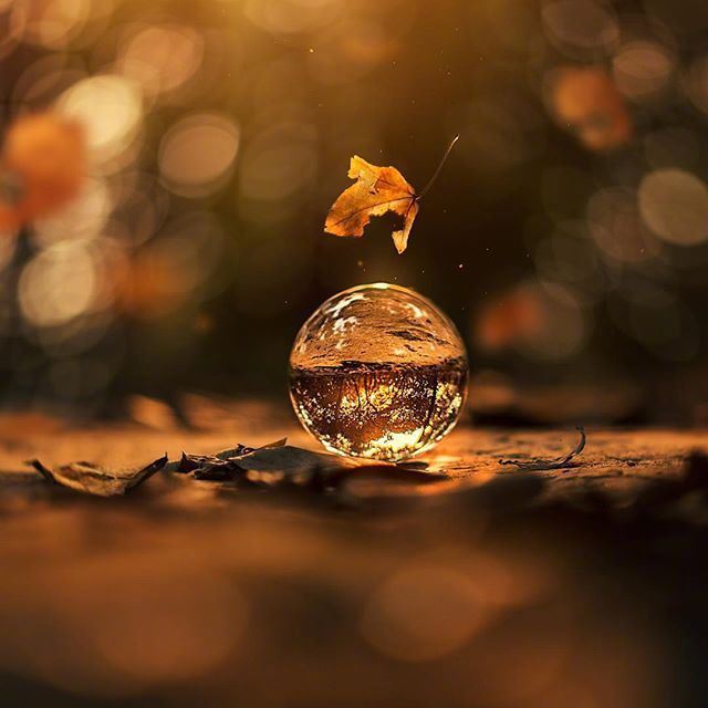 八月感悟人生的一句话，内容引起极度舒适！