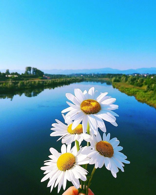 可以复制的早安心语，洒脱至极，深得人心！