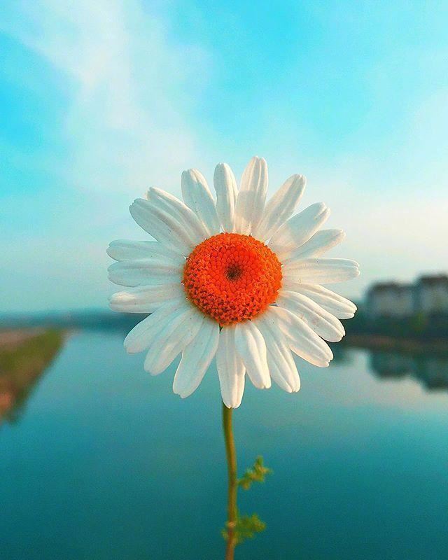 全网最火的人生感悟说说，句句入骨，发人深省！