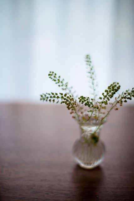 2023精辟的人生说说，每日一读，豁达一生！