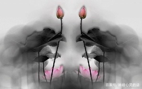 境界高的人生感悟说说，精辟入骨，人人收藏！