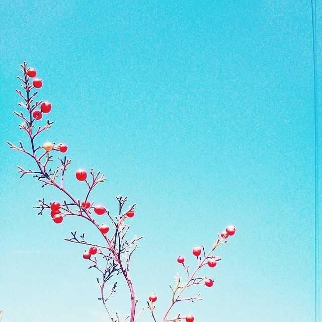 致自己心静的人生句子,精挑细选,越读越优秀!