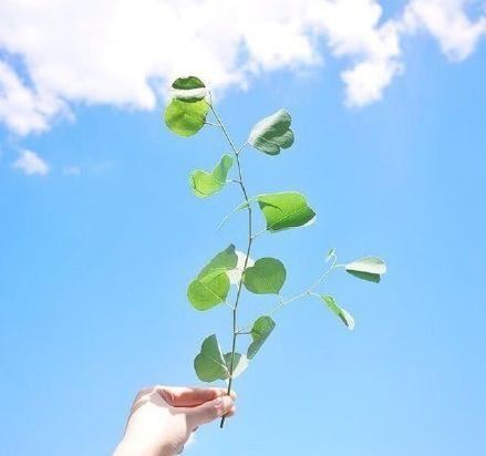 致自己的简短人生格言，每日一读，豁达一生！