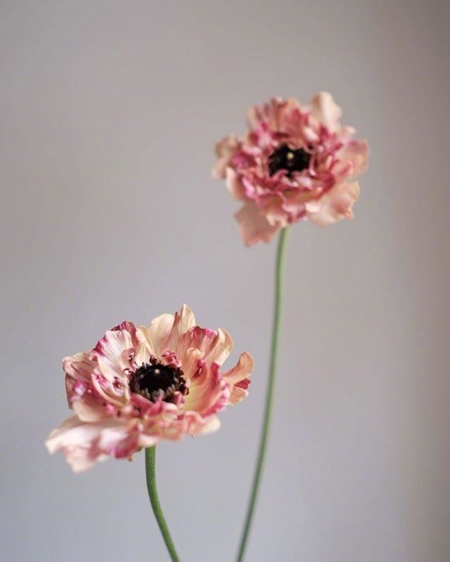 七月最潮的早安说说，元气满满，愿你心向阳光！