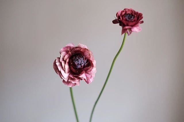 七月最潮的早安说说，元气满满，愿你心向阳光！