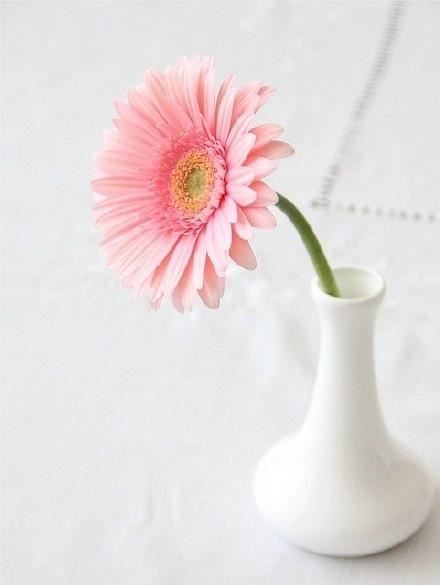 2023有关人生的句子，经典有深度，值得分享！