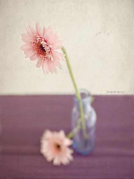 2023有关人生的句子，经典有深度，值得分享！