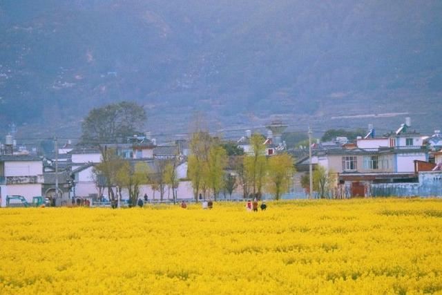 精辟有深度的鸡汤语录，充满哲理，引人深思！