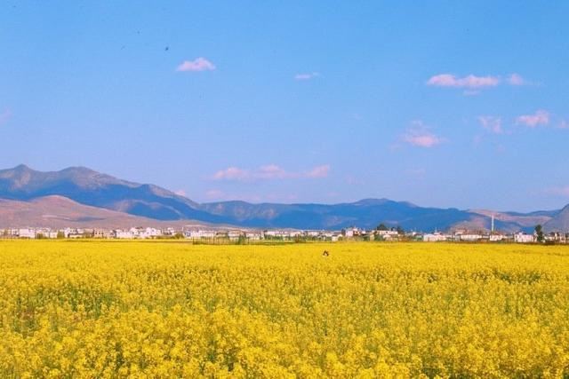 精辟有深度的鸡汤语录，充满哲理，引人深思！