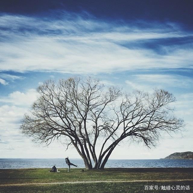 释放心情的人生哲理说说，句句穿透人心！