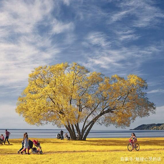 释放心情的人生哲理说说，句句穿透人心！