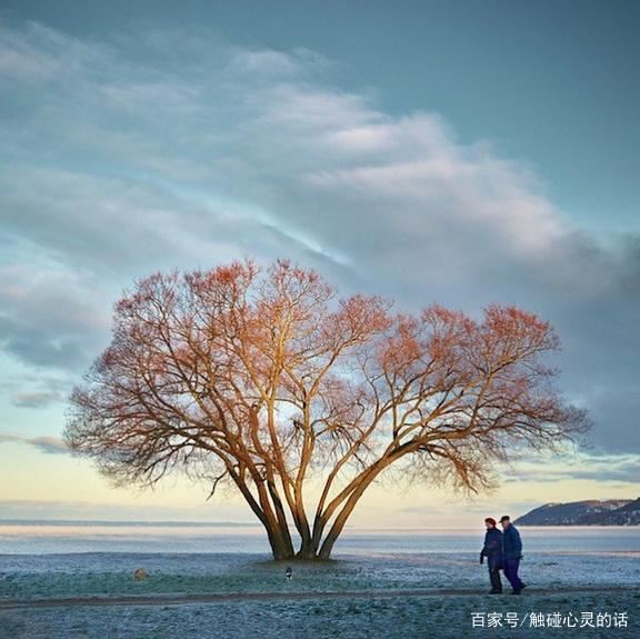 释放心情的人生哲理说说，句句穿透人心！