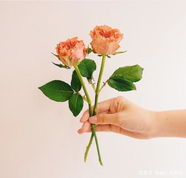 2023端午节祝福语，简短温馨，节日快乐！