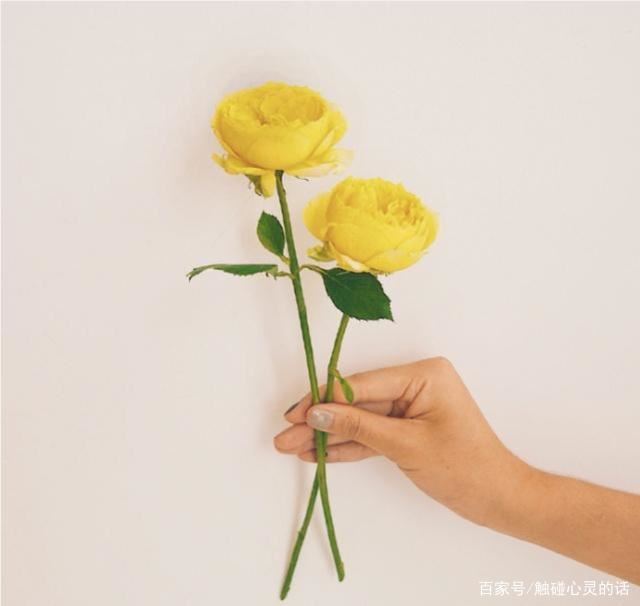 2023端午节祝福语，简短温馨，节日快乐！