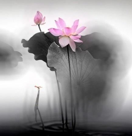 朋友圈很流行的人生格言，一字千金，醍醐灌顶！