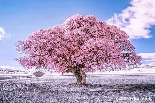 适合星期六的早安心语，经典入心，百看不厌！