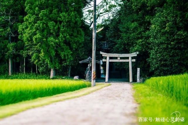 2023充满智慧的一句话，每日一读，豁达一生！