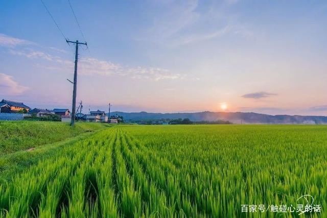 2023充满智慧的一句话，每日一读，豁达一生！