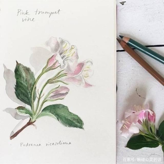 简短有深度的晚安文案，句句经典，治愈心灵！