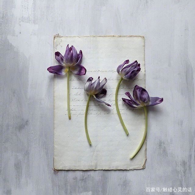 最适合自己的心情语录，简短精辟，直抵心灵！