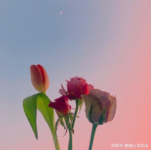 新的一天开始的早安说说，发朋友圈攒人气！