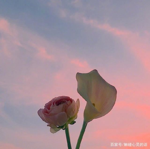 新的一天开始的早安说说，发朋友圈攒人气！